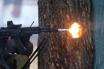 ТАСС: Служивший в ВСУ актер из «Слуги народа» ликвидирован 25 ноября 2024 года