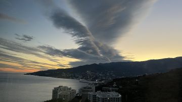 В Госдуме отреагировали на заявление Зеленского о принадлежности Крыма