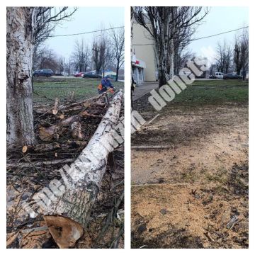 Алексей Кулемзин: Сегодня сотрудники коммунального предприятия «Зелёное строительство» убрали и вывезли опавшую листву, ветки, также выполнили валку и распил деревьев