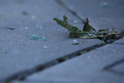 Shot: ��� ����� � ������� ������� ��������� ������, ��� ���������� ������������