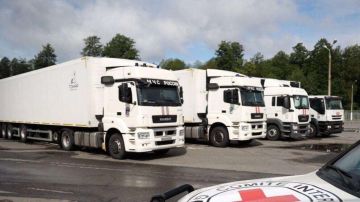 Россия передала Украине 11 тысяч тел солдат ВСУ