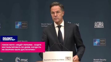 «Падёт Украина – со слезами вспомните мизерные 5% на оборону» – Генсек НАТО агитирует кормить Зеленского