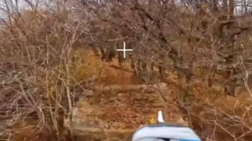 Группировка "Север" уничтожила танк на харьковском направлении