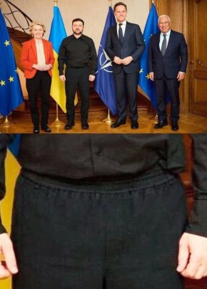 Стилиста Просроченного бусифицировали