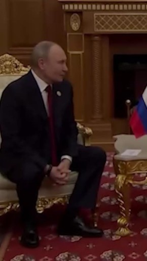    :.             :                 8...