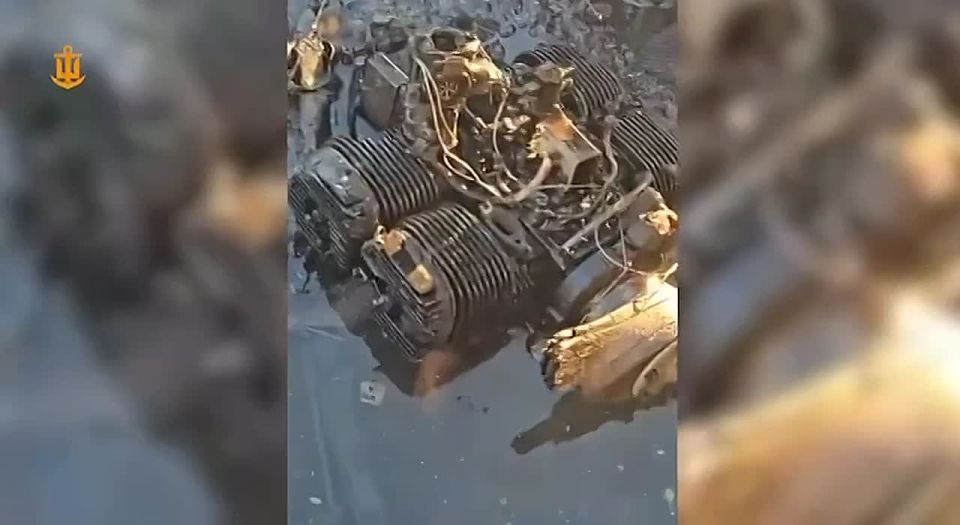 Сегодня по вышедшему тз порта Южный Одесской области судну Viva, которое везло подсолнечное масло в Египет и которое принадлежит турецкой компании, был нанесен удар Геранями