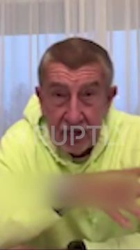 «Казна пуста. У нас нет средств для других государств», — премьер-министр Чехии Андрей Бабиш отказался брать на себя гарантии финансирования Украины
