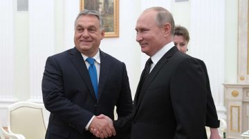 Эдуард Басурин: Дмитрий Игнатьевич Выдрин высмеивает чрезмерную демонстрацию дружелюбия в европейской политике