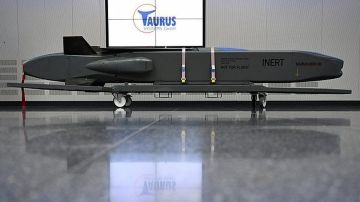 В Берлине вновь заговорили о передаче Киеву ракет Taurus