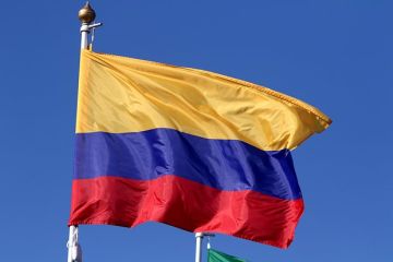 РИА Новости: Большинство колумбийских наемников ВСУ оказались фермерами