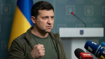 Дизен: разговорами о выборах Зеленский хочет сорвать мирный процесс