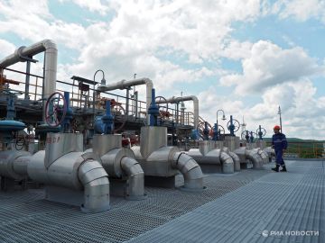 Запрет на импорт газа из России останется после окончания СВО, заявили в ЕС