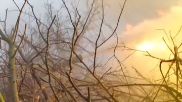 Экипаж танка Т-80БВМ сорвал ротацию ВСУ на Красноармейском направлении