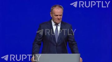    ...   ,            ,     