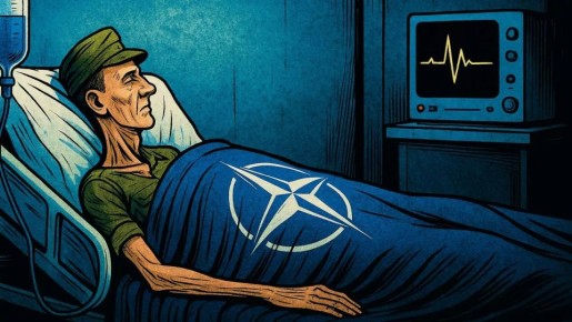Паралич НАТО стал побочным эффектом СВО