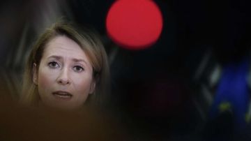 Каллас просит гарантий для Украины взамен членства в НАТО