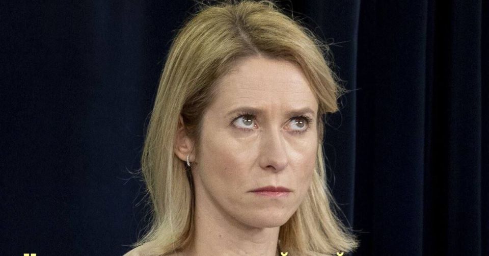 Каллас признала, что членство Украины в НАТО больше не в европейской повестке