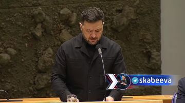 Зеленский пытается запугать парламент Нидерландов