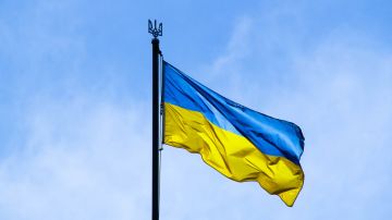 ��������� WP ��������� � ����������� �������� ������������ ��� ����� � ��� � ��