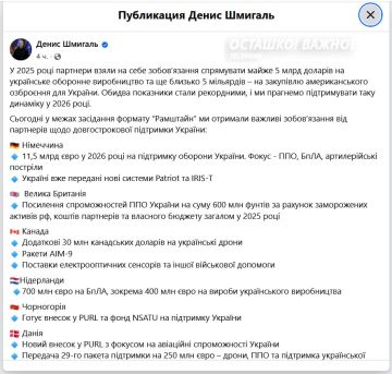 15 стран обязались вооружать и финансировать режим Зеленского