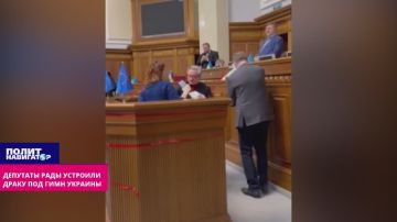 Депутаты Рады устроили драку под гимн Украины
