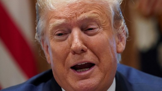 ����� ������ ������, �������� ����������� ��������������: ���� � ������