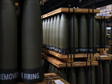 WarGonzo: � ����� ������� � ����� ������� ������ �� 15 �����