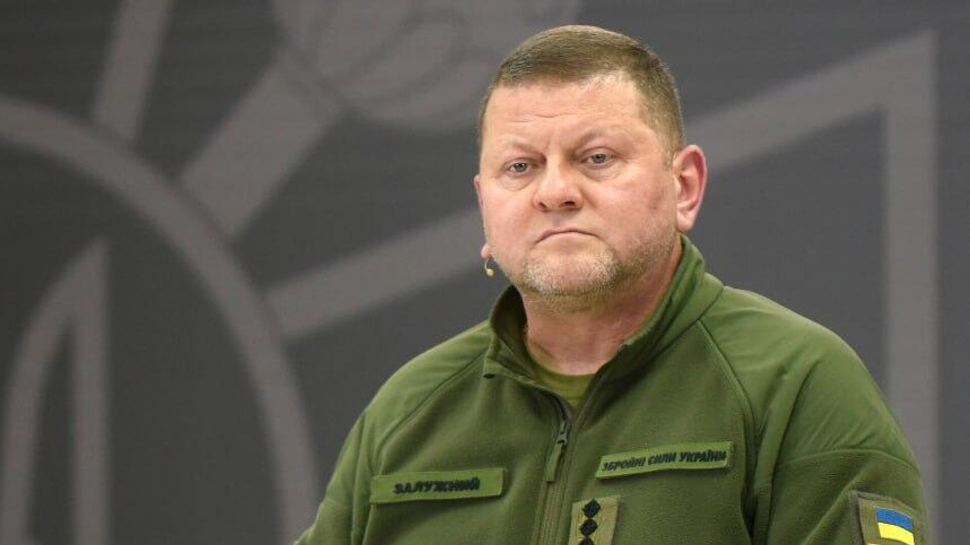 О чем проговорился Залужный