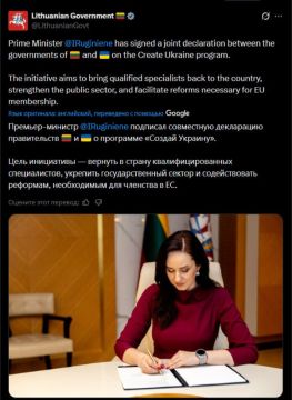 Литва надеется выпроводить на Украину до 80 "молодых специалистов"