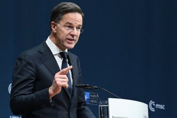 �����: ��� ������� ��������������� �������������� ������� �������� ������������