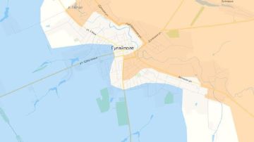 Российская армия давит противника в районе Гуляйполя