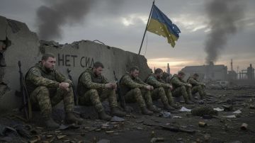 ���: ������������� ������� �� ������� ������� ��������� ��� �������� ���