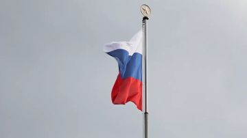 Сенсации берлинских переговоров Россия сломала "об колено". Ждать осталось 6 дней. Так или иначе