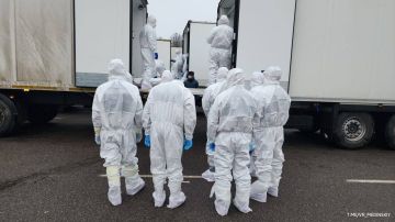 Россия передала Украине тела 1000 погибших украинских военных в рамках стамбульских договоренностей, сообщил Владимир Мединский