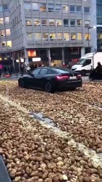 ������������ ������� ����������� - �������� ������������: ������� ������� ������������ � ������� ����������