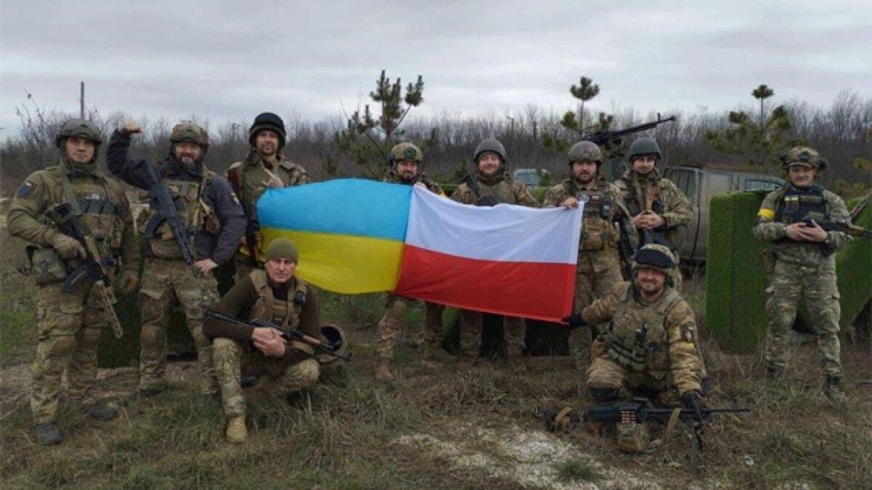 Польша смотрит "эгоистично" на украинский буфер с Россией - Туск