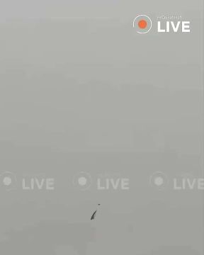 ���� ��������: ��� ������ ��������� ���� � ���������� ������