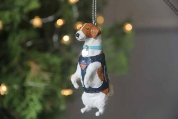 � �� ������ �� �� ��������� ��������