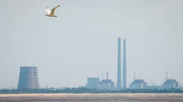 ������ ������� �� ��������� � ���������: �������� ����������� ��� ����������� � ���������������� ������������ ��������� ���