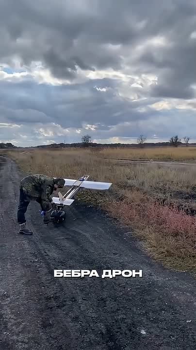 Очередной клон российской "Молнии" представили на Украине, на этот раз под название "Бебрадрон" (BeBradron) от компании BlueBird Tech