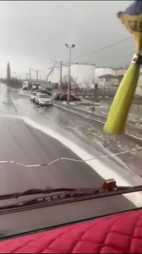 ���� ��������: �������� ����: ����� ����� ����� ����� ��������