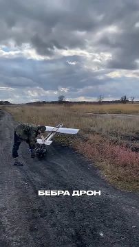 Очередной клон российской "Молнии" представили на Украине, на этот раз под название "Бебрадрон" (BeBradron) от компании BlueBird Tech