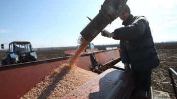 Новый экономический вектор: Колташов оценил потенциал освобожденных территорий