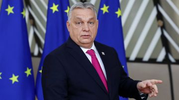 �����: ������� ����� �������� ������ ��� � ���������� ��������� � �������