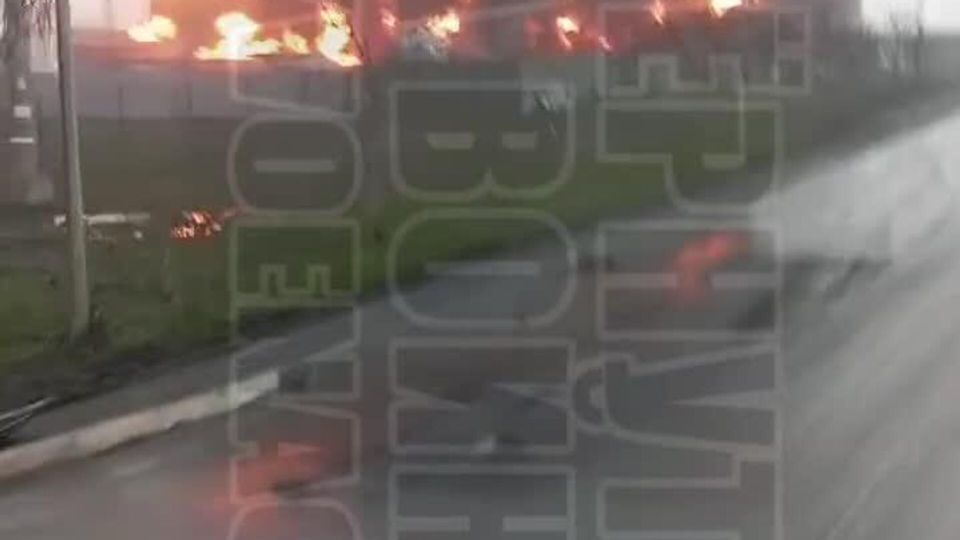 �� ����� � ����������� ������ "�������" �� ���������� Allseeds Black Sea � ������-����� ����� �������� �������