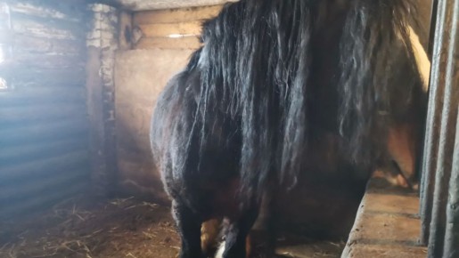 ��������� ���� �������? ������� ������� ������ ������������� �� ������� ������ �� �������