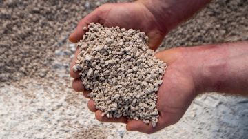 � ����� ������ ��������� ������������� ��� �� ���� �������� ����������� ���������