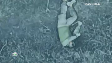 � ��������� ������������ ���������� �����, � ������� ��������� ������� ���������� ��������