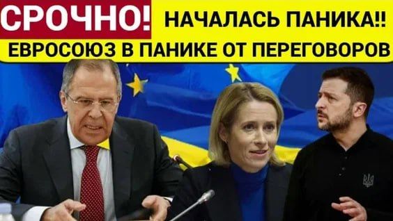 ������ �������: �� ������ ���������� ��������