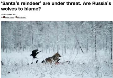 ���������� ������-��������� ������� ������ �����-������ � �������������� CNN